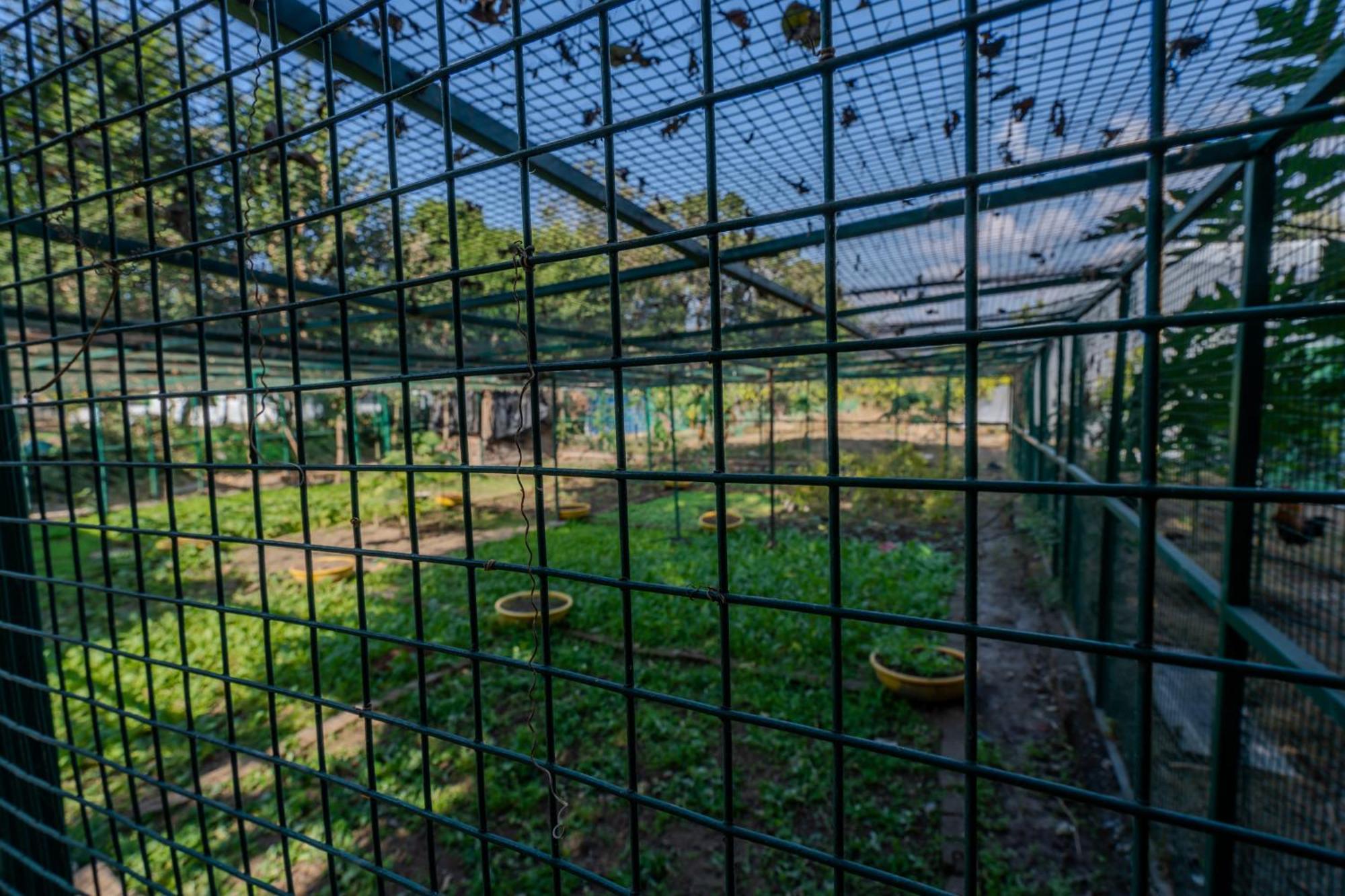 Saffronstays Timber Crest Dehradun Exterior photo